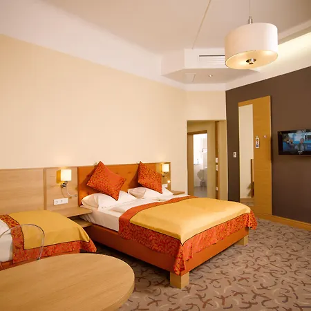 드라이 라븐 4* 그라츠