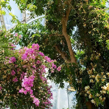 드라이 라븐 호텔 4*